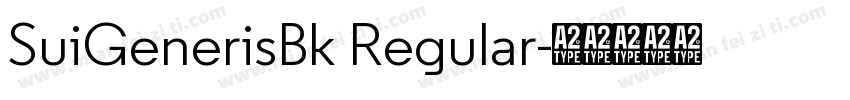 SuiGenerisBk Regular字体转换